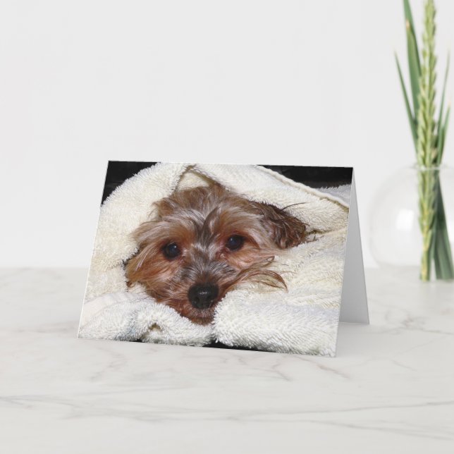 Mikayla Kort (Framsida)