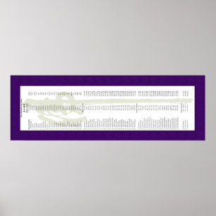 Mike Ford Transmission Rulla Poster