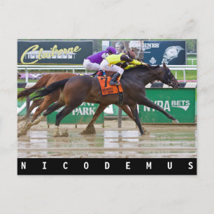 Mike Luzzi -Nicodemus Vykort