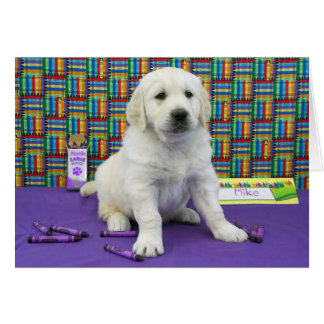 Mike vecka 6 hälsningskort