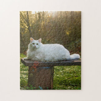 Mikey's Walk Puzzle Pussel