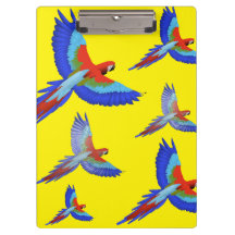 Mikitiez papegoja hawaii sommarsolnedgång strand v