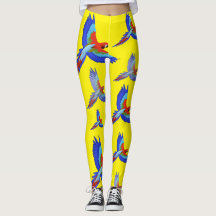 Mikitiez parrot hawaii sommmersunset vår