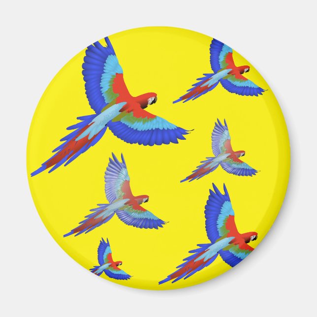 Mikitiez parrot hawaii sommmersunset vår magnet (Framsidan)