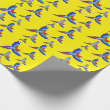 Mikitiez parrot hawaii sommmersunset vår