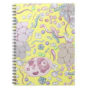 Mikrobiologi i Gult Anteckningsbok Med Spiral