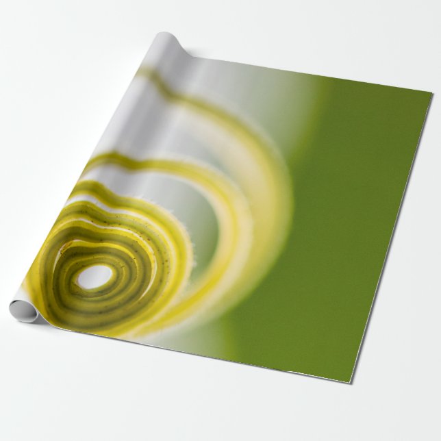 Mikrofotografi av växtstammen presentpapper (Utrullad)