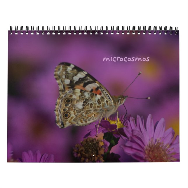 mikrokosmos kalender (Omslag)