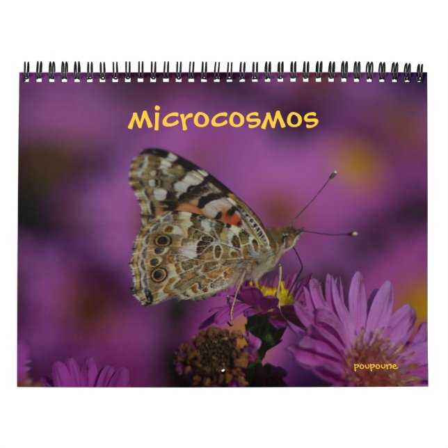 mikrokosmos kalender (Omslag)