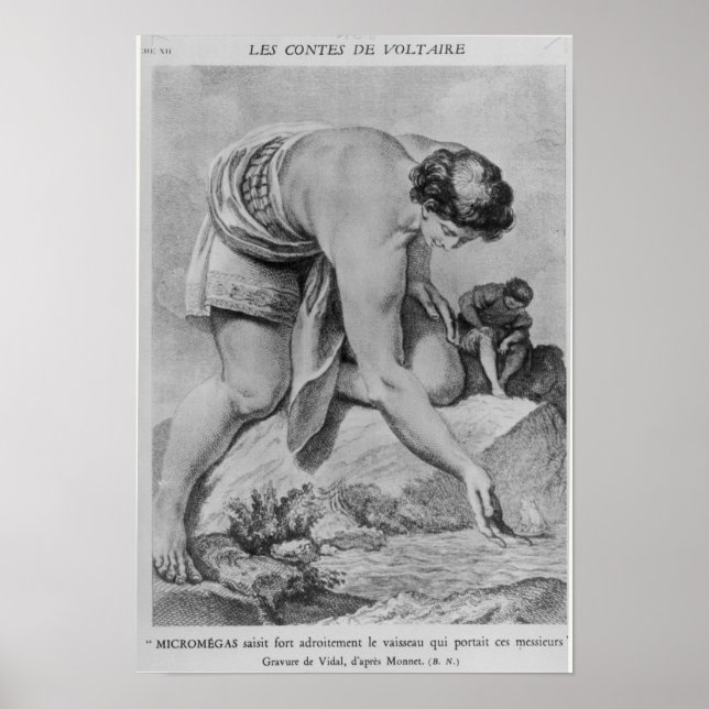 Mikromegas plockor upp frakten skickligt poster (Framsidan)