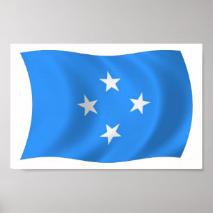 Mikronesien Flagga Postertryck Poster