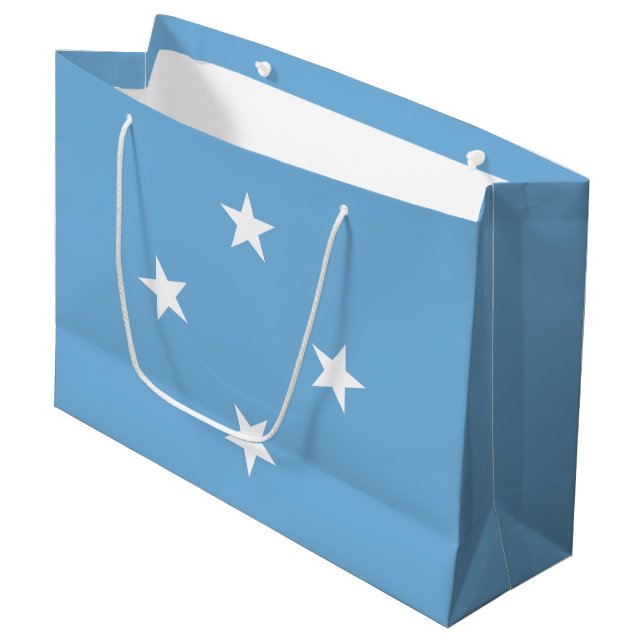 Mikronesiska federationen flagga (Framsidan Vinklad)