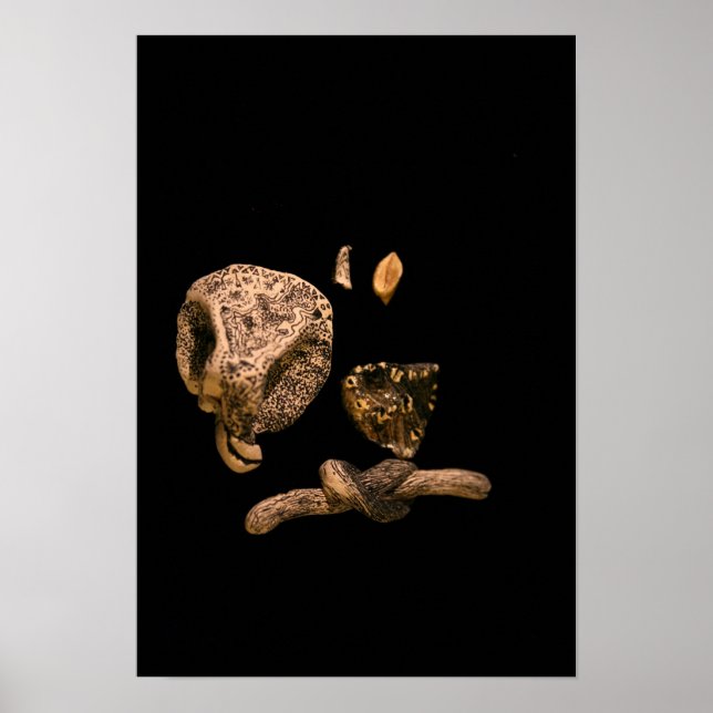 Mikroromanetisk grafik Miniature Micro Sculpture Poster (Framsidan)