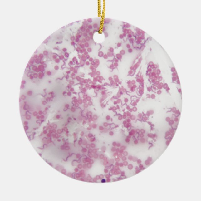 Mikroskopfoto av människoblod med Trypanosoma b Julgransprydnad Keramik (Framsidan)