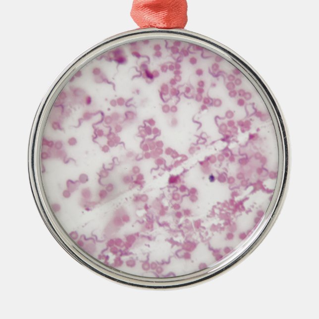 Mikroskopfoto av människoblod med Trypanosoma b Julgransprydnad Metall (Framsidan)