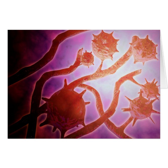 Mikroskopisk bild av histoplasmos hälsningskort (Framsidan Horizontal)