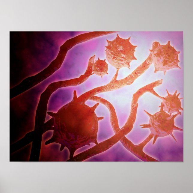 Mikroskopisk bild av histoplasmos poster (Framsidan)