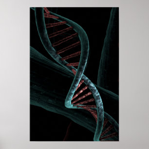 Mikroskopisk kod för Life DNA- Dubbla Helix Poster