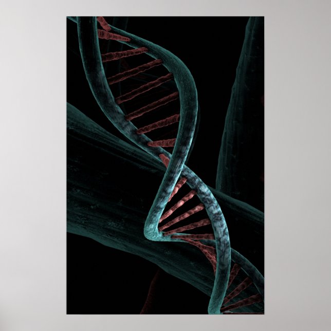 Mikroskopisk kod för Life DNA- Dubbla Helix Poster (Framsidan)
