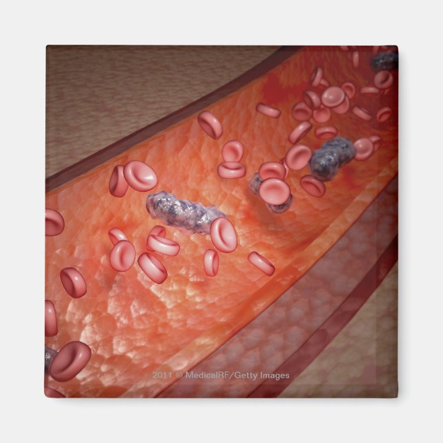 Mikroskopisk rendering av en blodinfektion magnet (Framsidan)