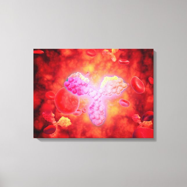 Mikroskopisk syn på humana antikroppar canvastryck (Framsida)