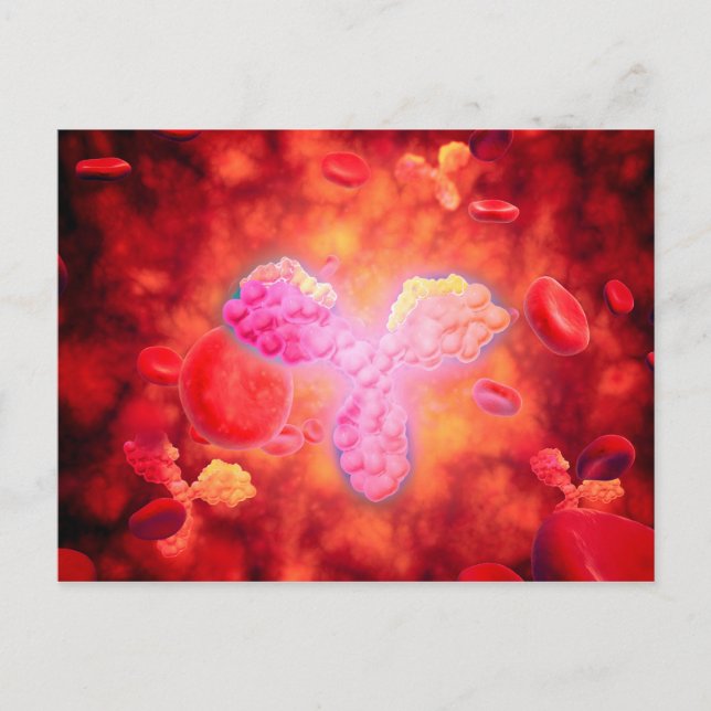 Mikroskopisk syn på humana antikroppar vykort (Framsida)