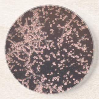 mikroskopisk våt montering för jäst 3D Underlägg