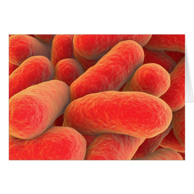 Mikroskopisk vy av bakterier 4 hälsningskort (Framsidan Horizontal)