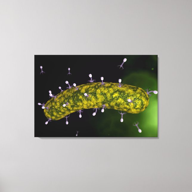 Mikroskopisk vy av bakteriofageanackning canvastryck (Framsida)