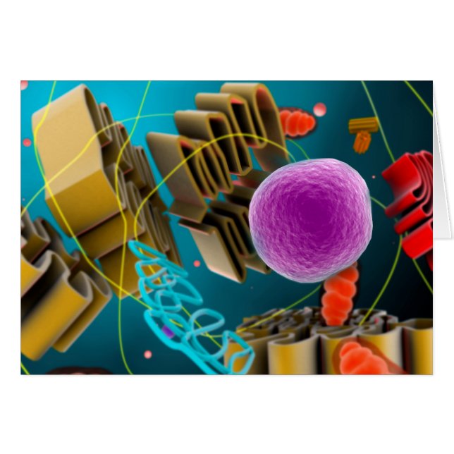 Mikroskopisk vy av cellkärnor från djurceller hälsningskort (Framsidan Horizontal)