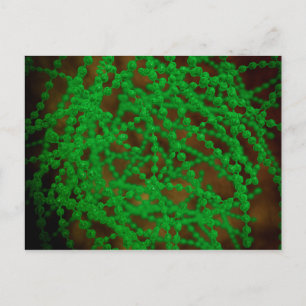 Mikroskopisk vy av cocci Bacterium Vykort
