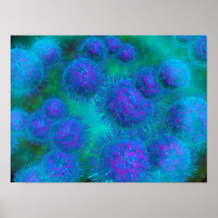 Mikroskopisk vy av diplococcus Bacterium Poster