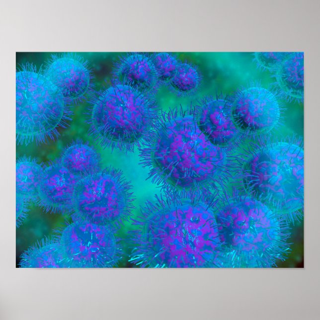 Mikroskopisk vy av diplococcus Bacterium Poster (Framsidan)