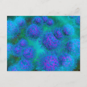 Mikroskopisk vy av diplococcus Bacterium Vykort