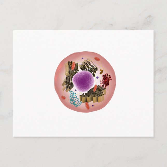 Mikroskopisk vy av djurcell 1 vykort (Framsida)