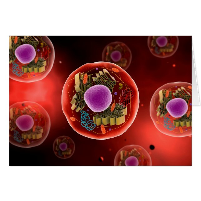 Mikroskopisk vy av djurcell 2 hälsningskort (Framsidan Horizontal)