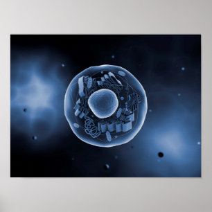 Mikroskopisk vy av djurcell 3 poster