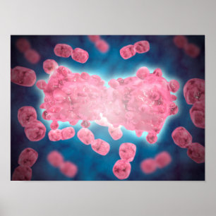 Mikroskopisk vy av en grupp av leukemiceller poster