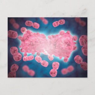 Mikroskopisk vy av en grupp av leukemiceller vykort