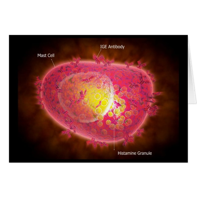 Mikroskopisk vy av en mastcell hälsningskort (Framsidan Horizontal)