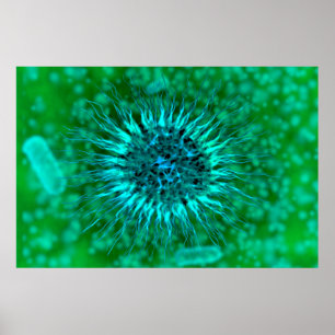 Mikroskopisk vy av endrimers 3 poster