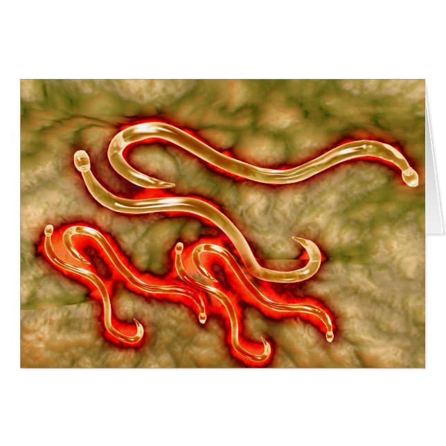 Mikroskopisk vy av hakmask 1 hälsningskort (Framsidan Horizontal)