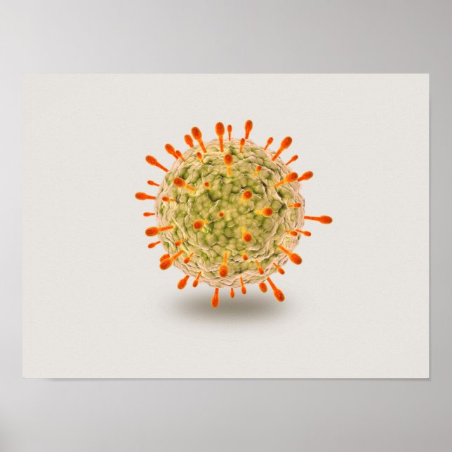 Mikroskopisk vy av herpesvirus 2 poster (Framsidan)