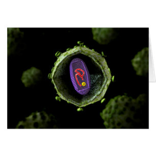 Mikroskopisk vy av hiv-virus, Kor Hälsningskort