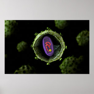 Mikroskopisk vy av hiv-virus, Kor Poster