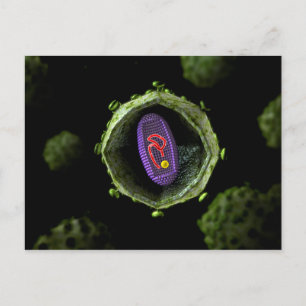 Mikroskopisk vy av hiv-virus, Kor Vykort
