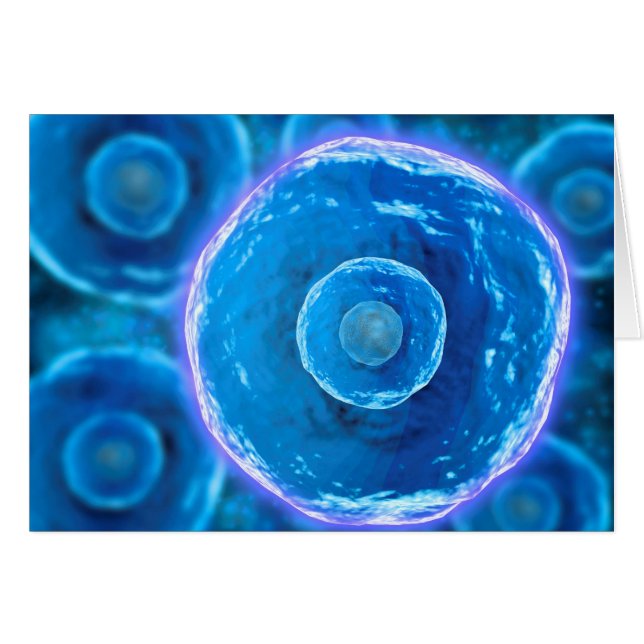 Mikroskopisk vy av humana B- celler 1 Hälsningskort (Framsidan Horizontal)