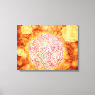 Mikroskopisk vy av Hund Parvovirus 1 Canvastryck