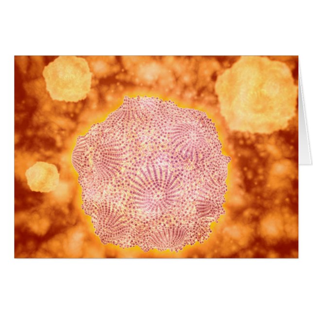 Mikroskopisk vy av Hund Parvovirus 1 Hälsningskort (Framsidan Horizontal)