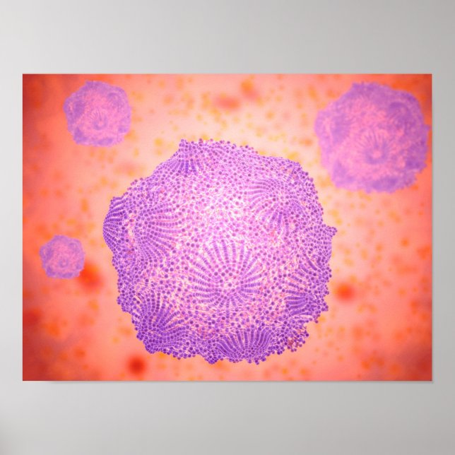 Mikroskopisk vy av Hund Parvovirus 2 Poster (Framsidan)